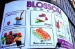 ������� "BLOSSOM" - ����� ������������� � ���������...