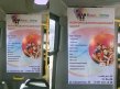 ���������������� ����� ����� ����