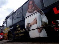 �������, ������� ����� �� ������ ����...